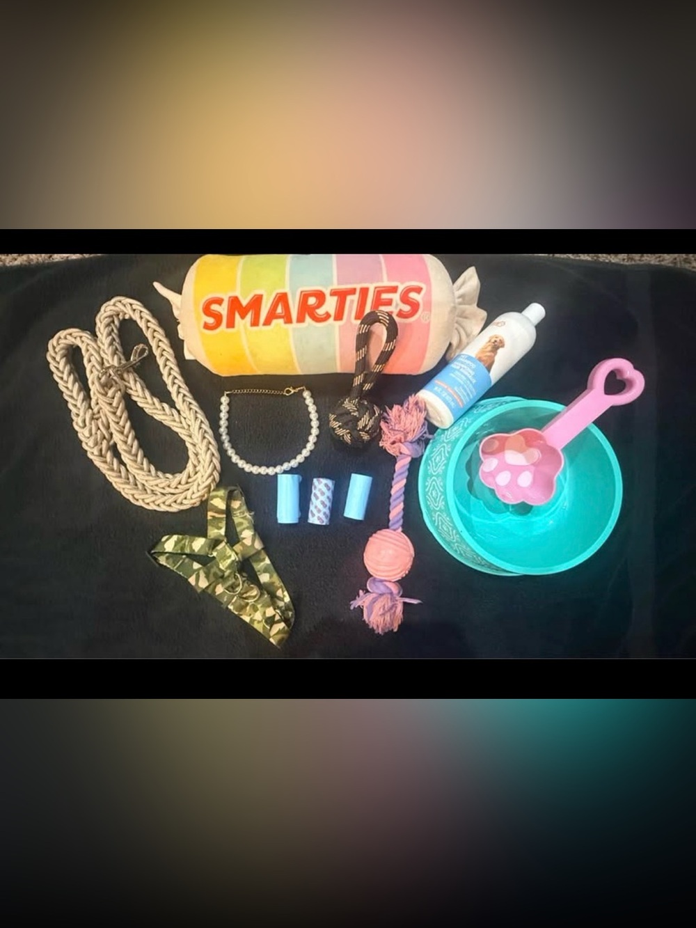 Bundle of dog accessories